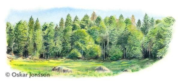 Styggkärret Styggkärret