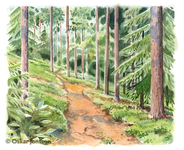 Högstaåsen Högstaåsen